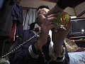 サンプル画像 36