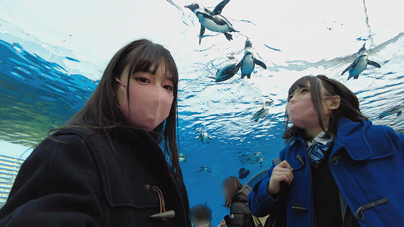 サンプル画像 7