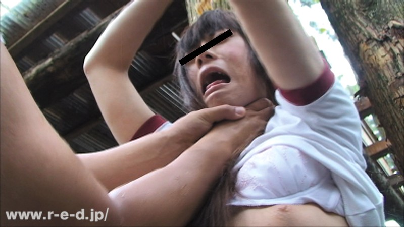 サンプル画像 9