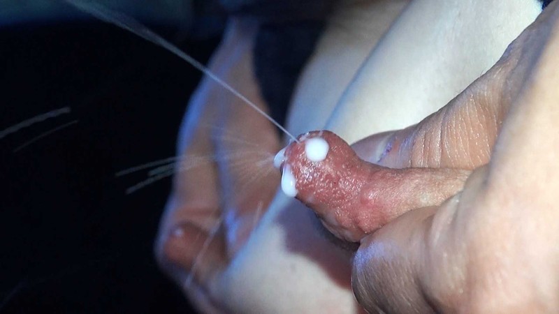 サンプル画像 4