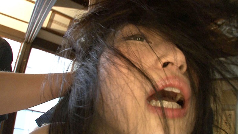 サンプル画像 5