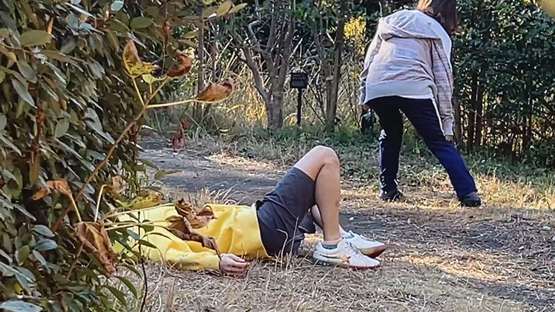 サンプル画像 6