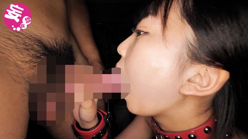 サンプル画像 11