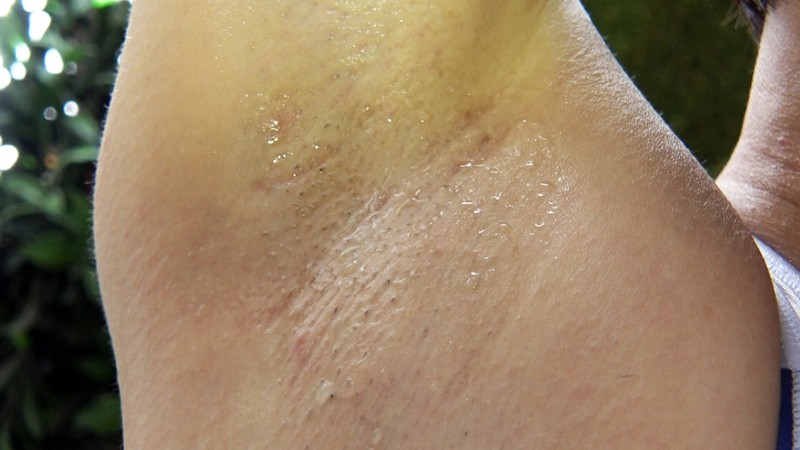 サンプル画像 5