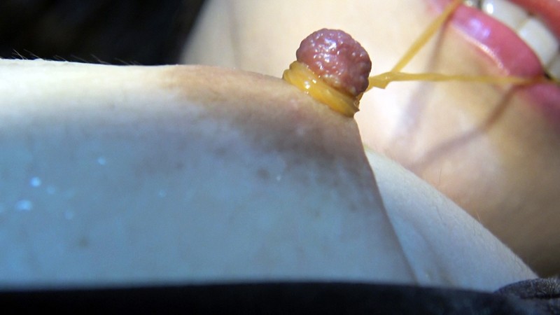 サンプル画像 16