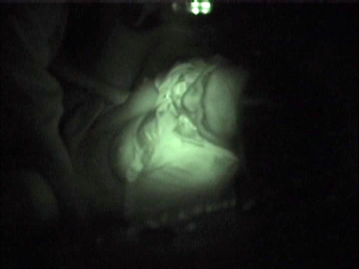 サンプル画像 5