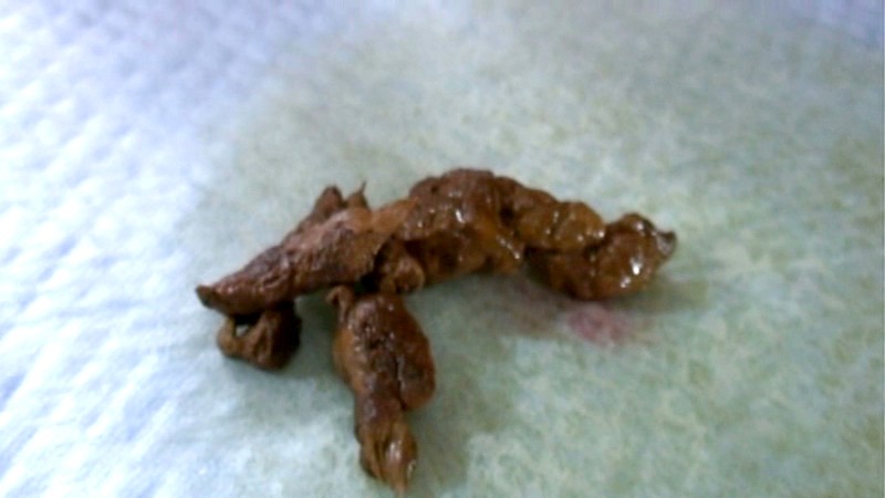 サンプル画像 18