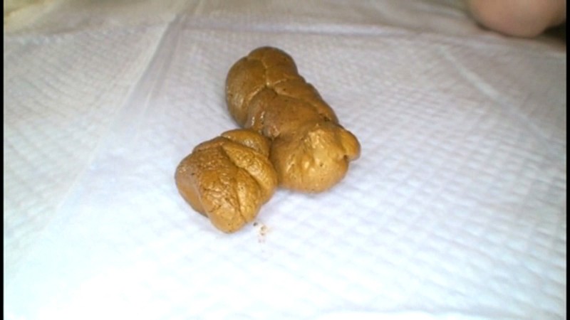 サンプル画像 21