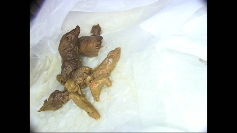 サンプル画像 5