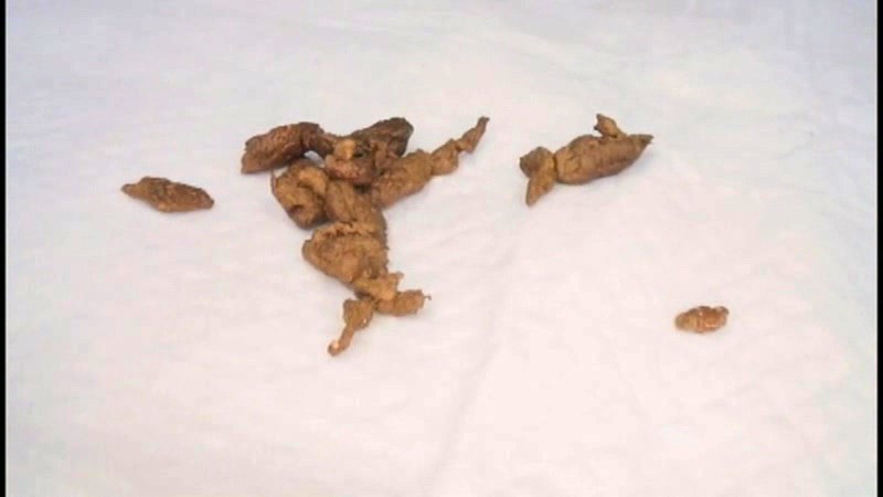 サンプル画像 6