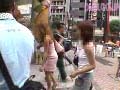 サンプル画像 12