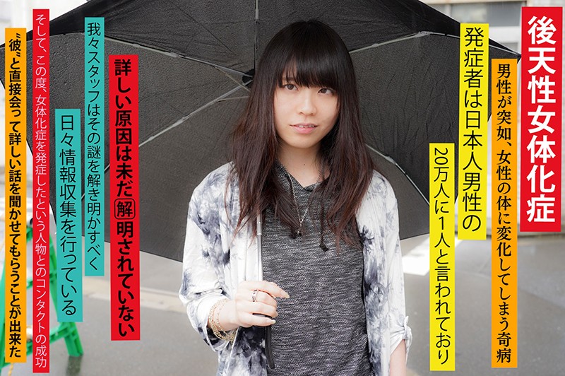 サンプル画像 3