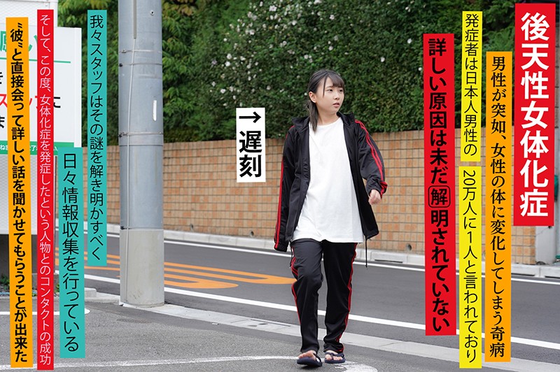 サンプル画像 3