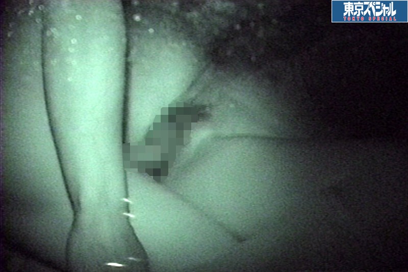 サンプル画像 8