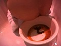 サンプル画像 9