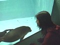 サンプル画像 6