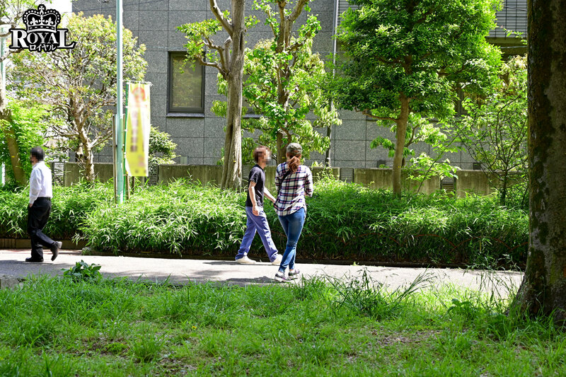 サンプル画像 11