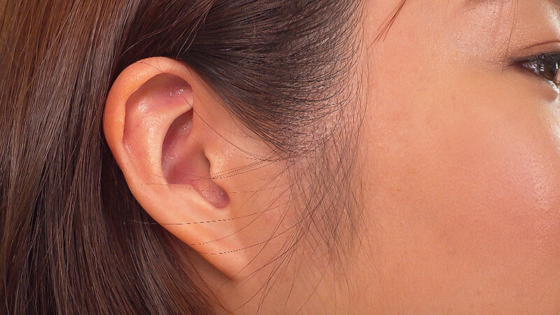 サンプル画像 5