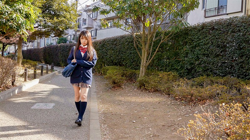 サンプル画像 15