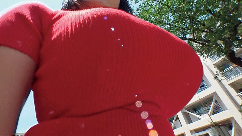 サンプル画像 5