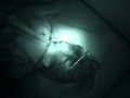 サンプル画像 23