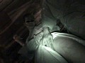 サンプル画像 15