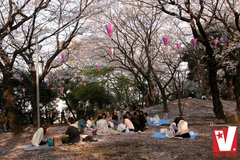 サンプル画像 8