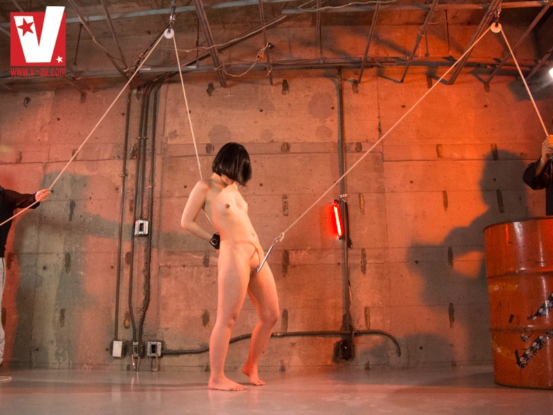 サンプル画像 5