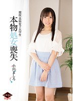 サムネイル画像