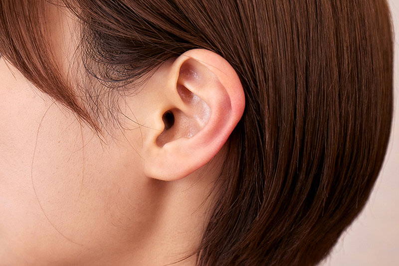 サンプル画像 12