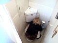 サンプル画像 8