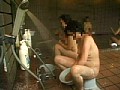 サンプル画像 7