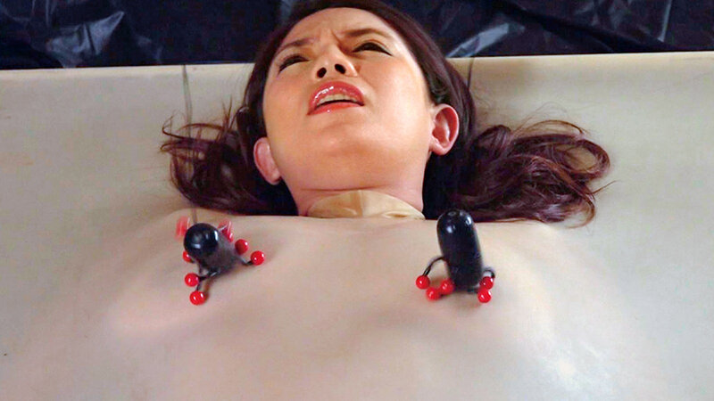 サンプル画像 6