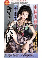 パッケージ画像