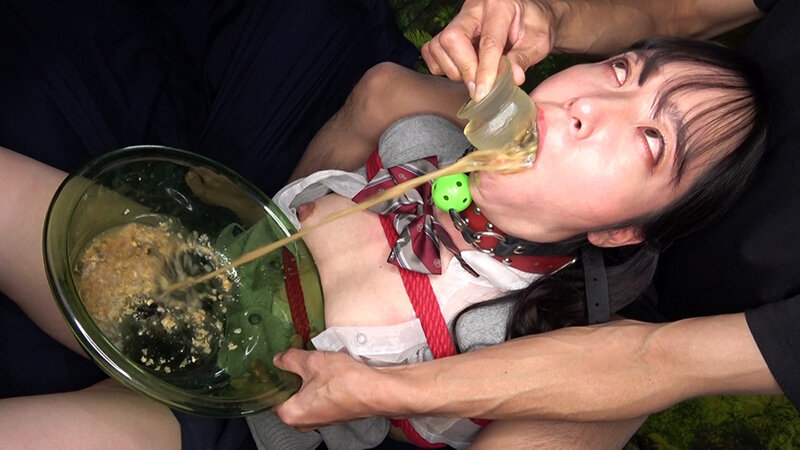 サンプル画像 14