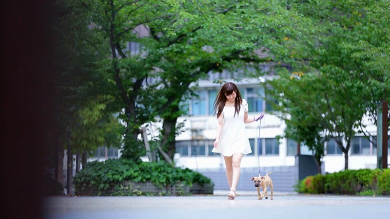 サンプル画像 3