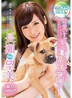 パッケージ画像