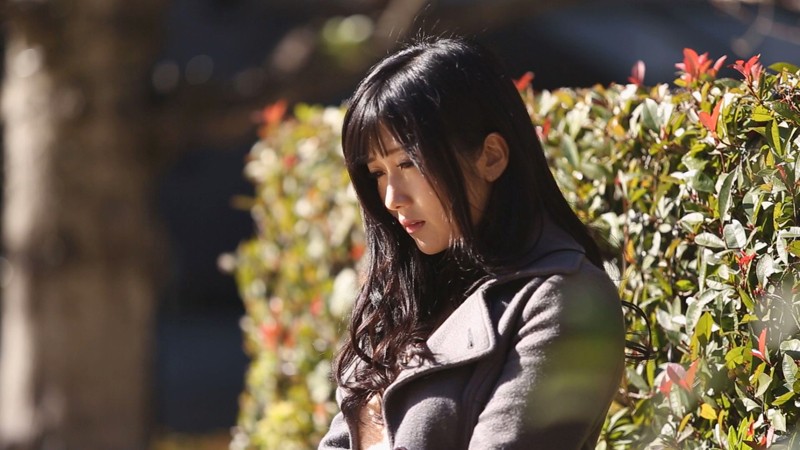 サンプル画像 8