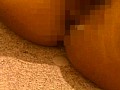サンプル画像 41
