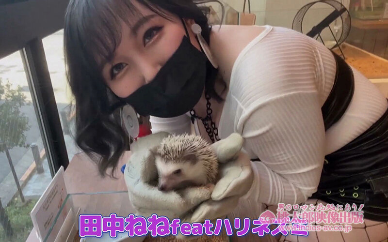 サンプル画像 9