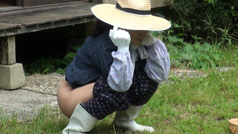 サンプル画像 8