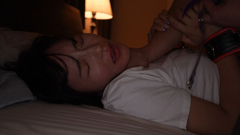 サンプル画像 5