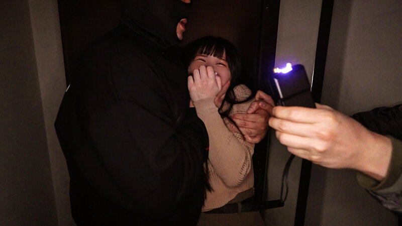 サンプル画像 3