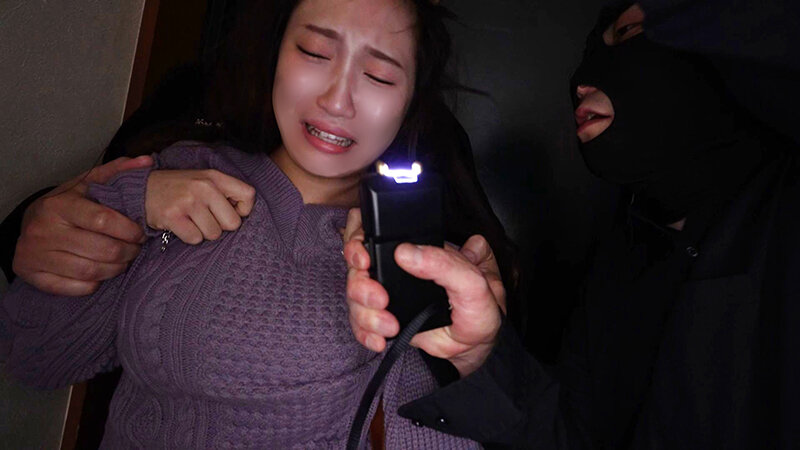 サンプル画像 3