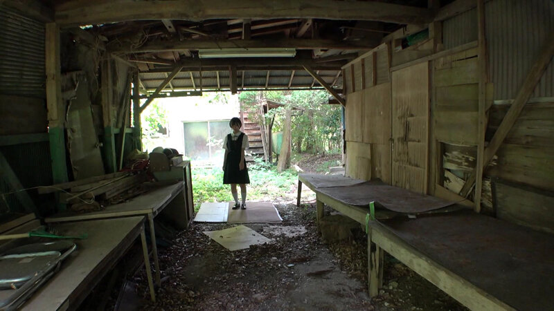 サンプル画像 2