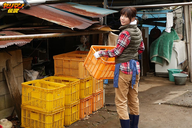 サンプル画像 3