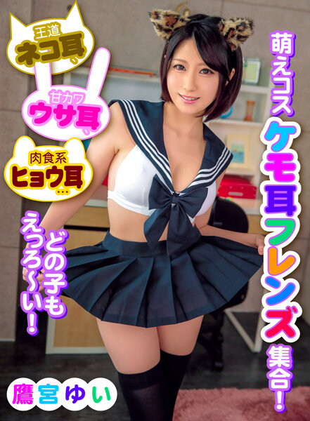 サンプルプレビュー