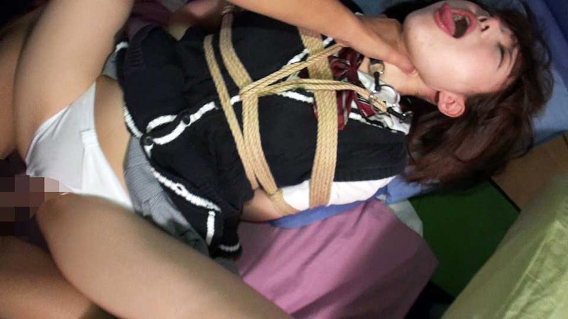 サンプル画像 15